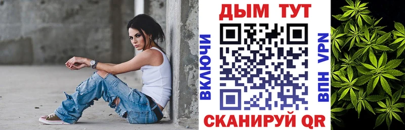 Купить закладки  Болохово  Канабис семена 